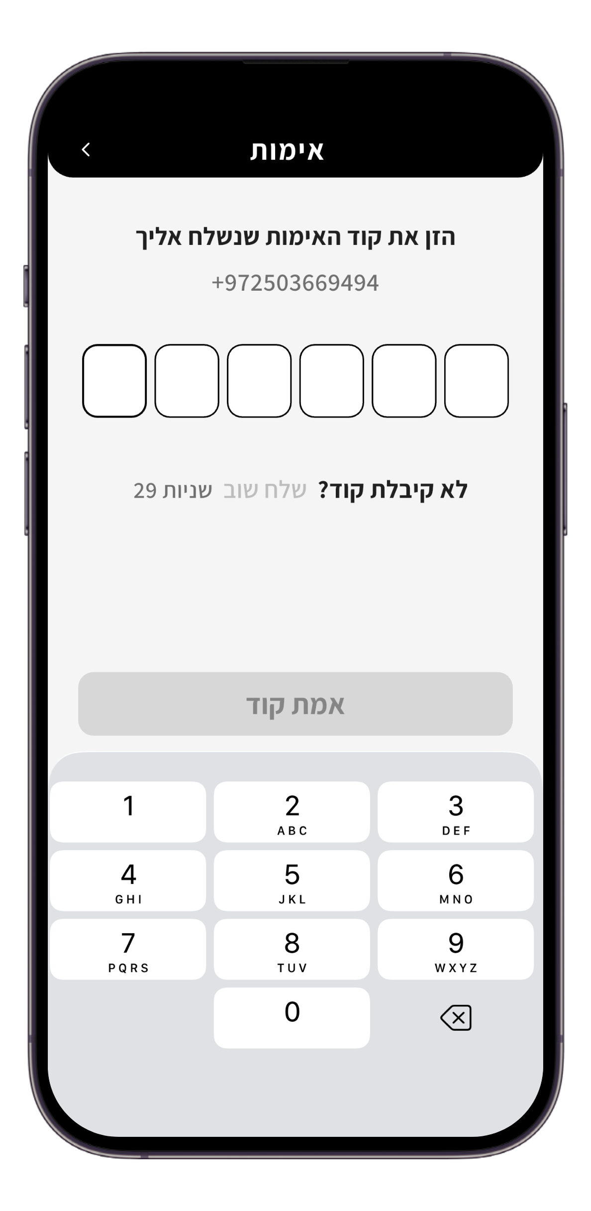 מסך אימות OTP